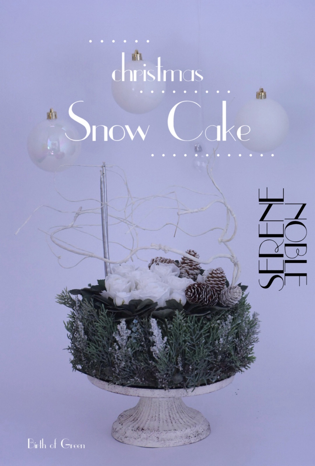 Snow Cake